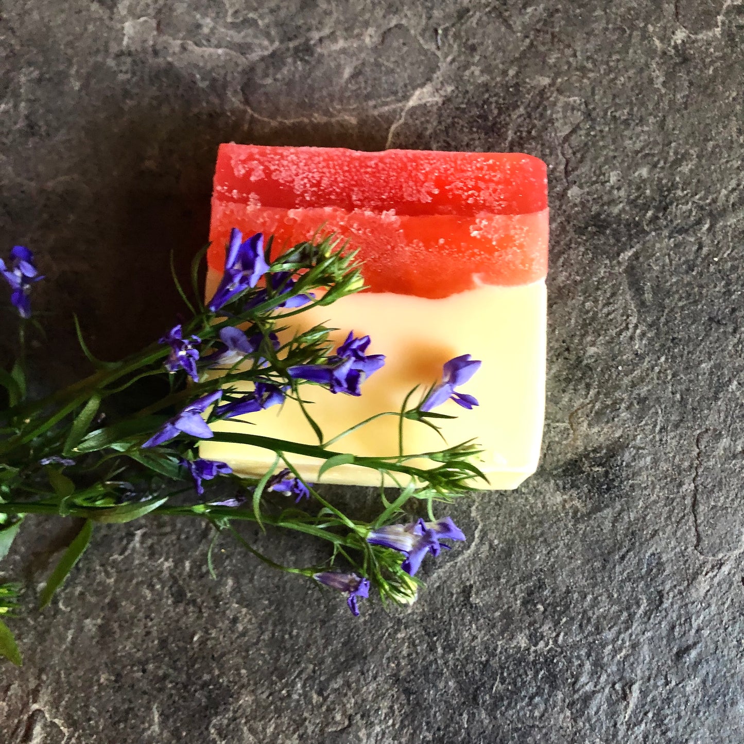 Nourish & Repair Shampoo Bar