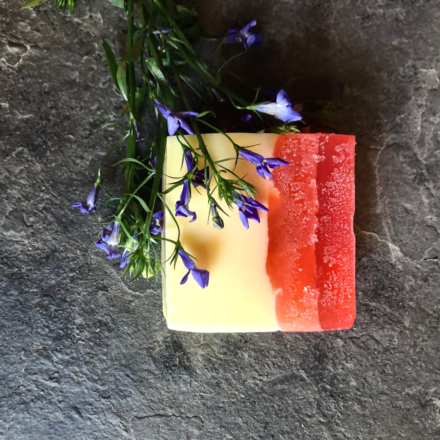 Nourish & Repair Shampoo Bar