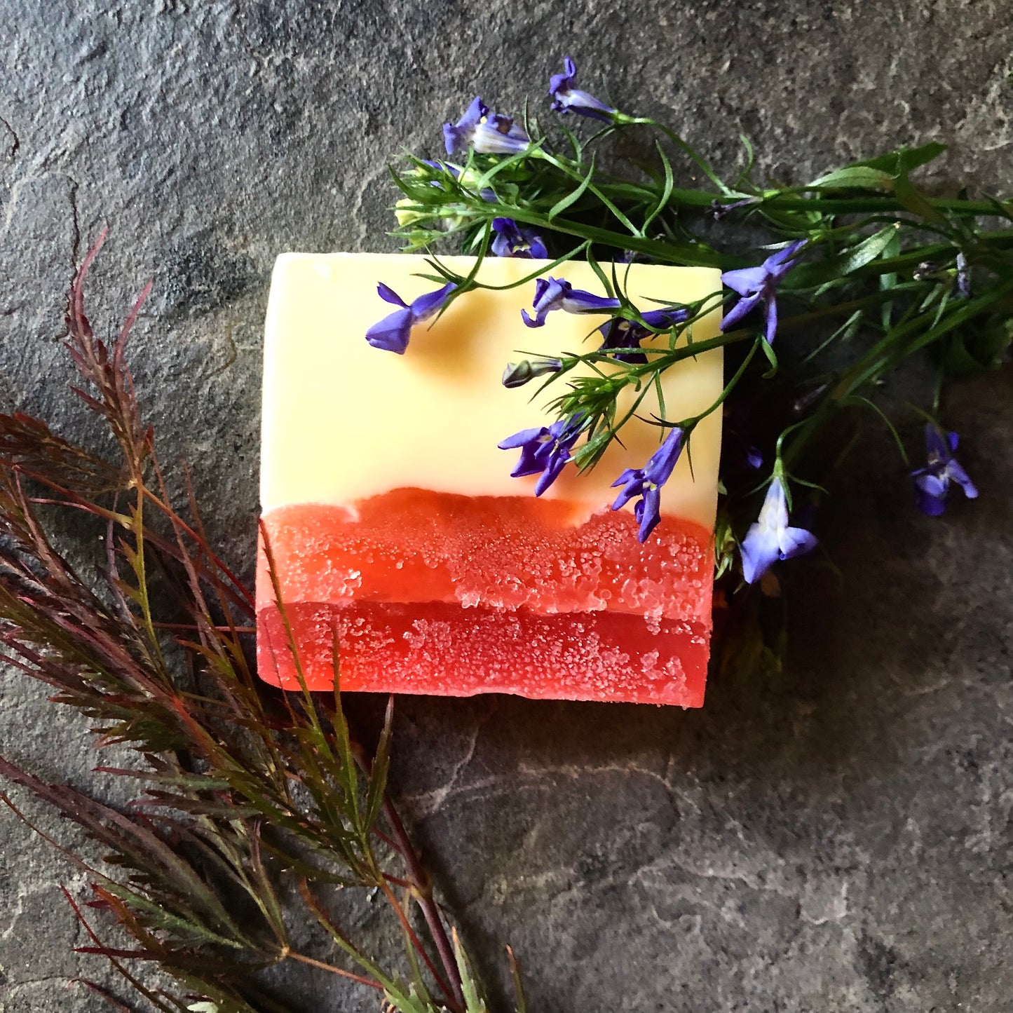 Nourish & Repair Shampoo Bar