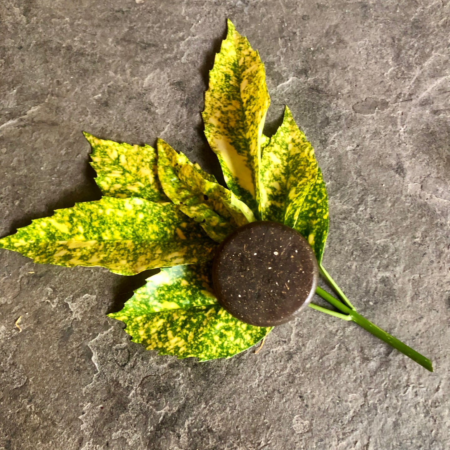 Super Moisturizer Soap Bar